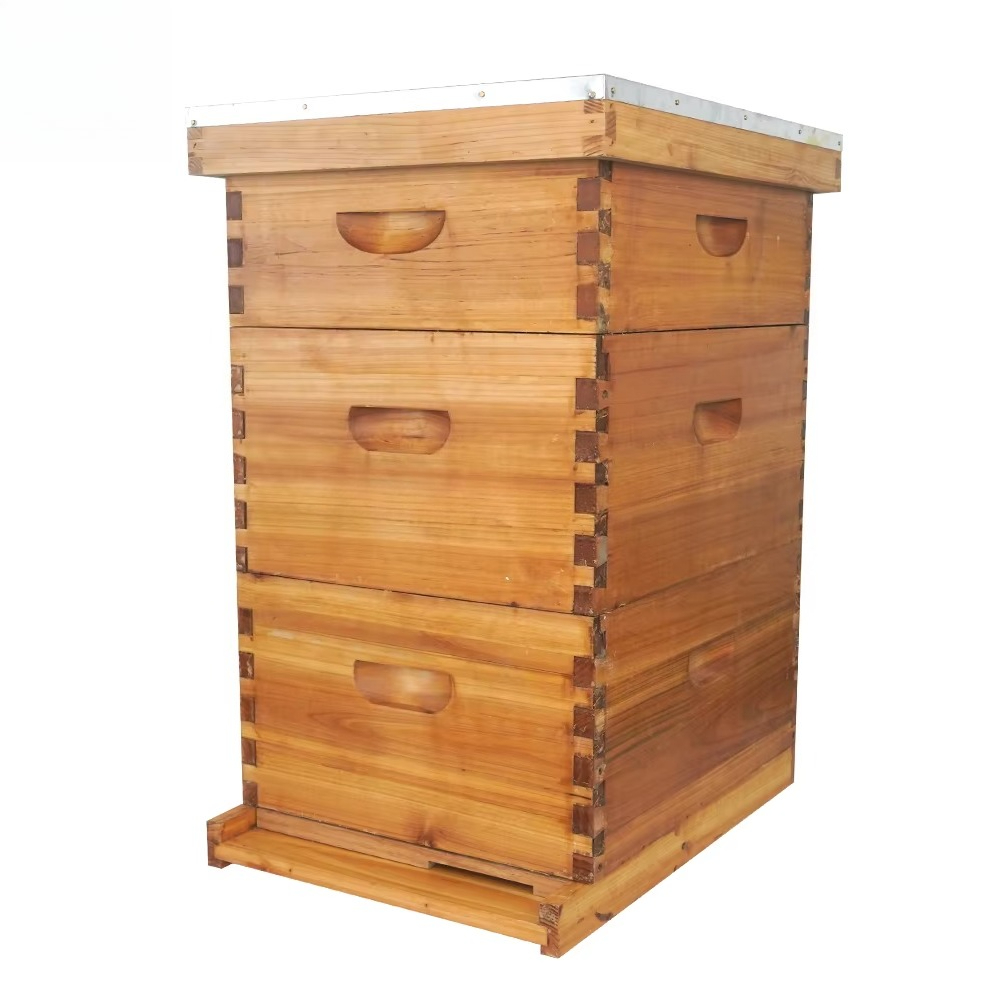 Beehive Frame Wax - Complete 3-layer wax-soaked beehive Langstroth beehive