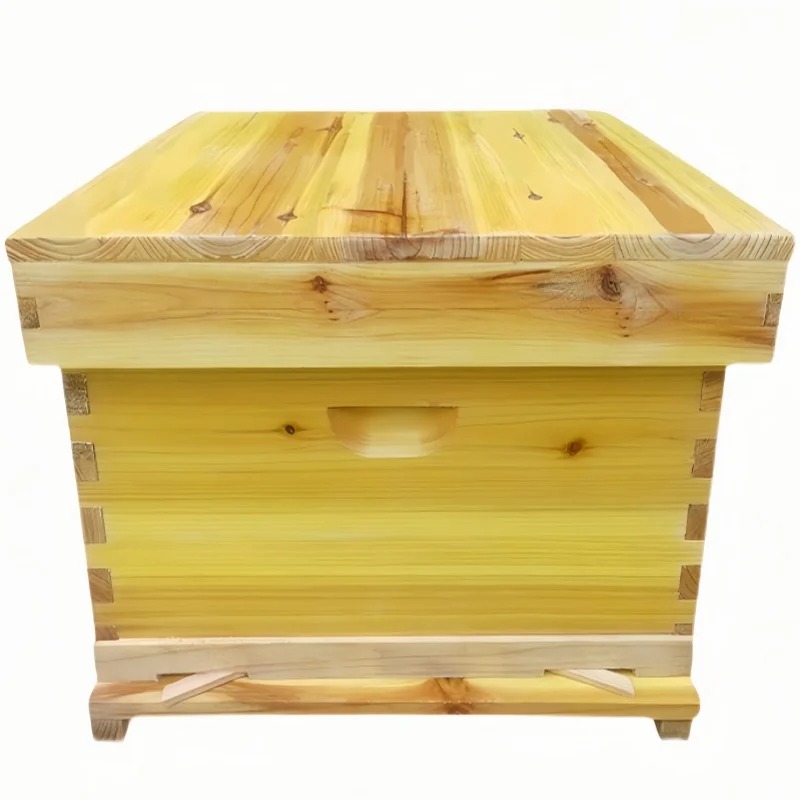 Beehive Frame Wax - Bee Hive in Bee Box, A