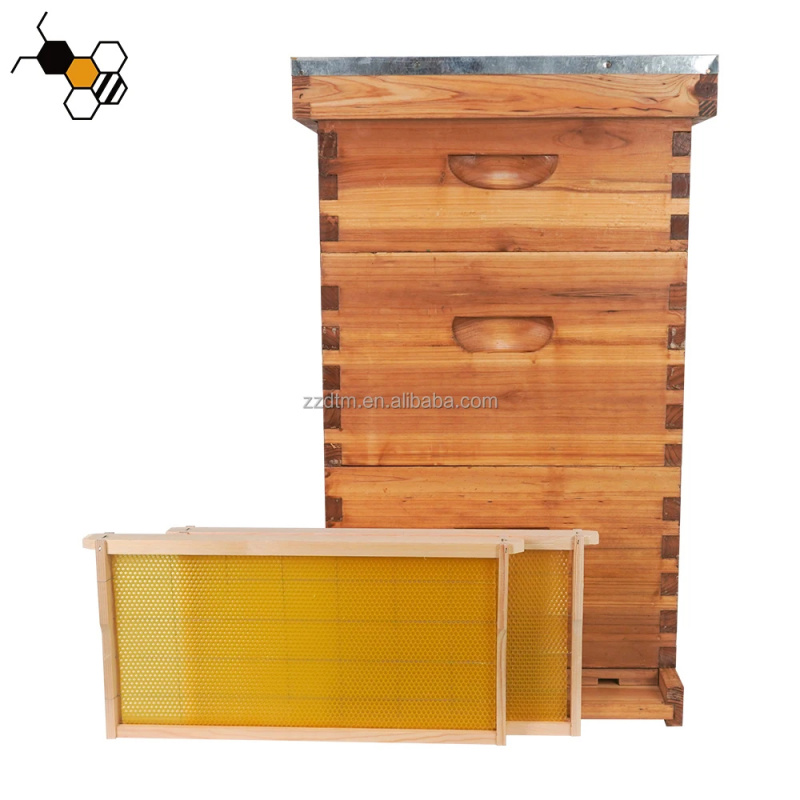 High-Quality 30-Frame Bee Hive - Beehive Frame Wax recension och pris
