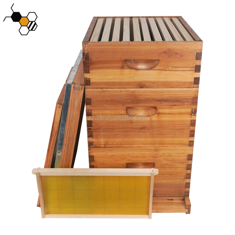 High-Quality 30-Frame Bee Hive - Beehive Frame Wax recension och pris