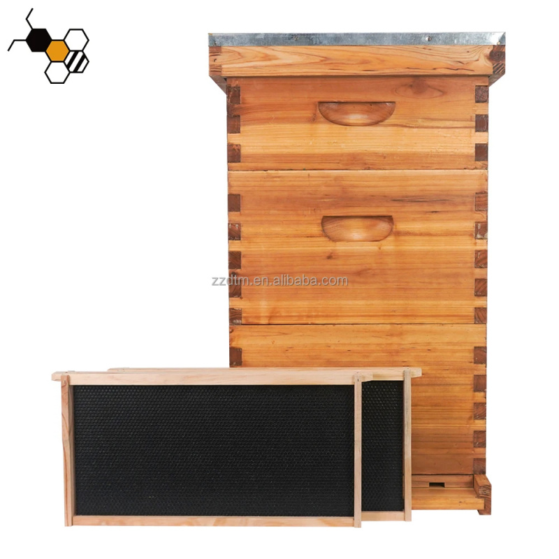 High-Quality 30-Frame Bee Hive - Beehive Frame Wax recension och pris