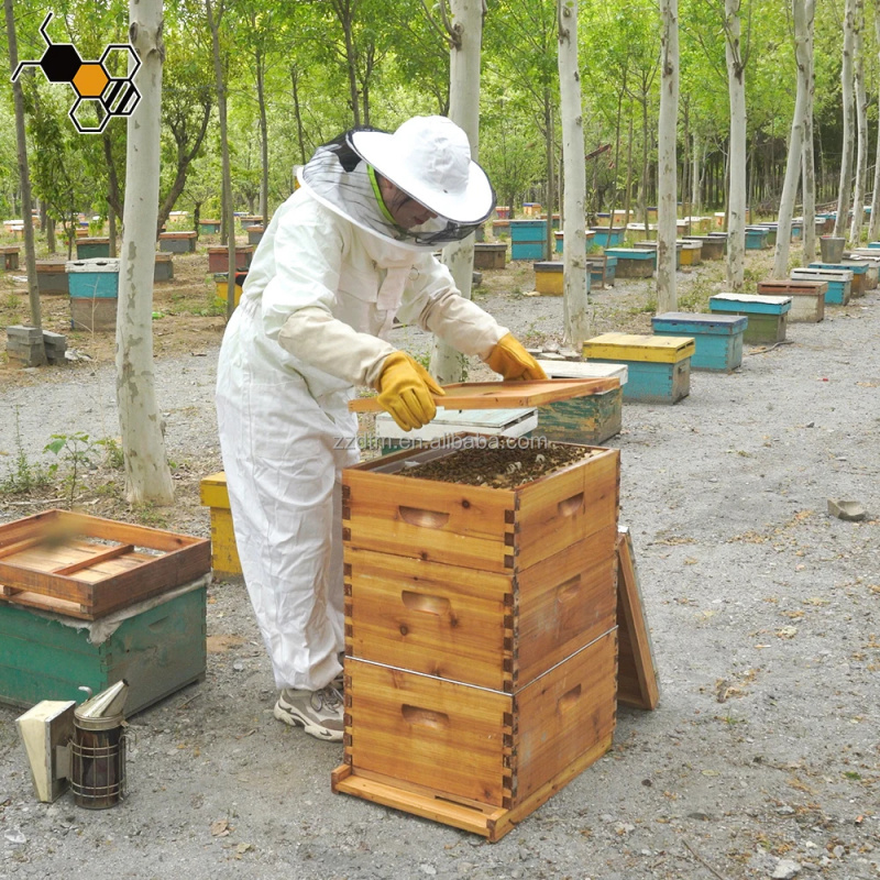 High-Quality 30-Frame Bee Hive - Beehive Frame Wax recension och pris