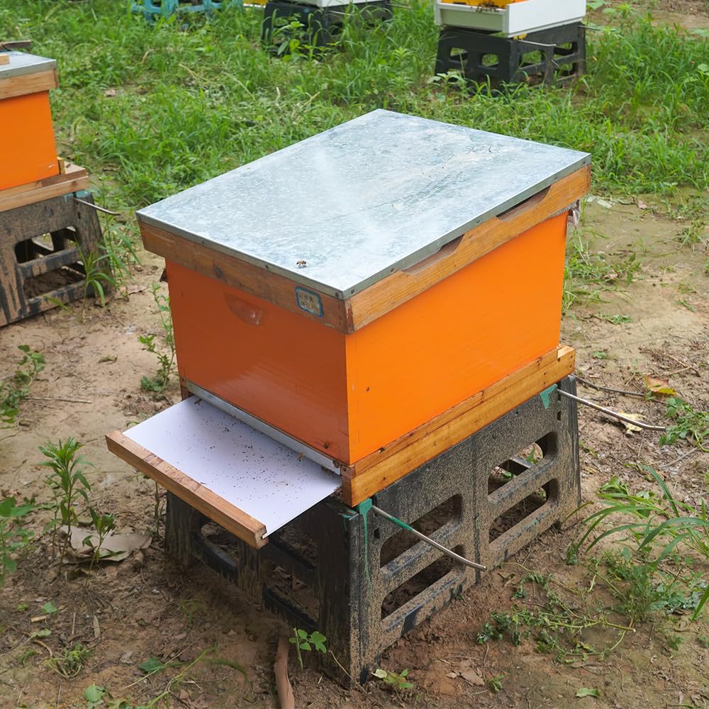 Ten-frame beehive special pump - Beehive Frame Wax recension och pris