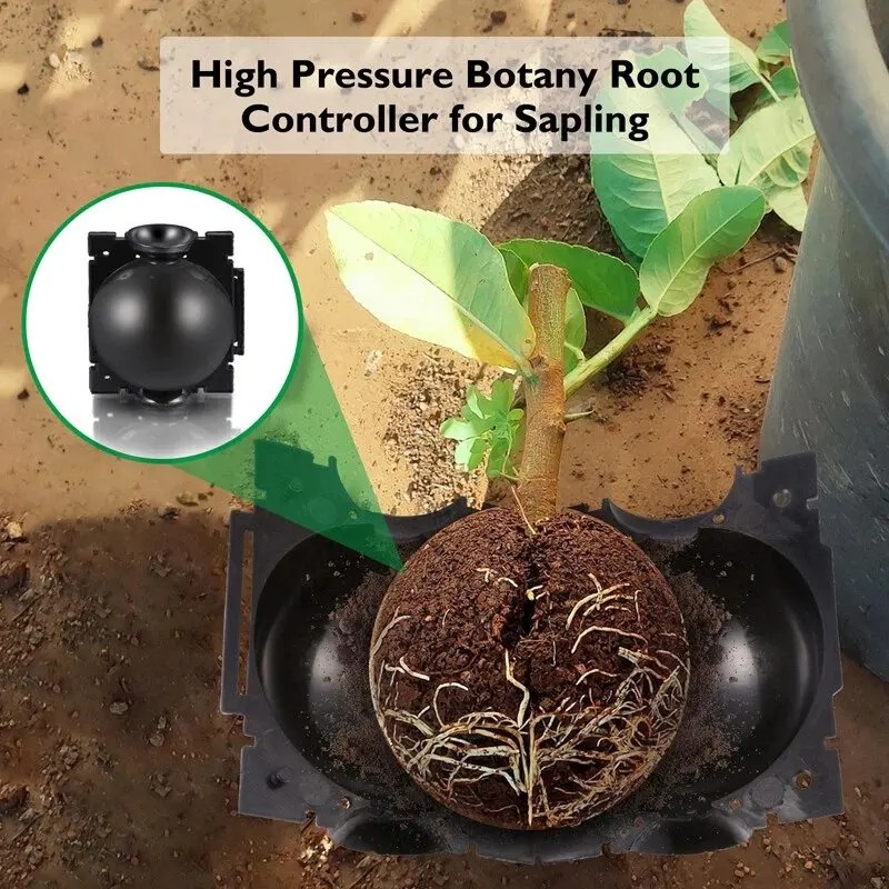5/30Pcs Plant Rooting Ball Gra - Plant Growth Regulator recension och pris