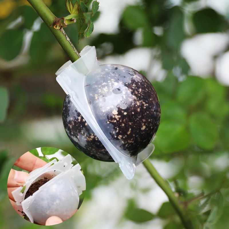 5/30Pcs Plant Rooting Ball Gra - Plant Growth Regulator recension och pris