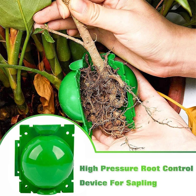 5/30Pcs Plant Rooting Ball Gra - Plant Growth Regulator recension och pris