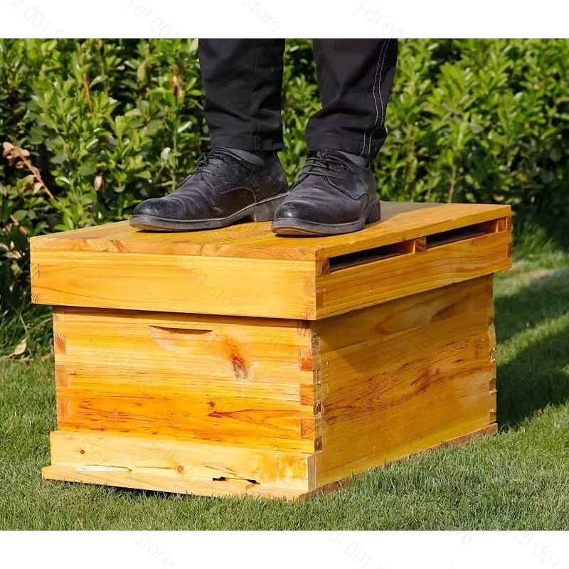 Complete Beehive Kit 10 Frames - Beehive Frame Wax recension och pris