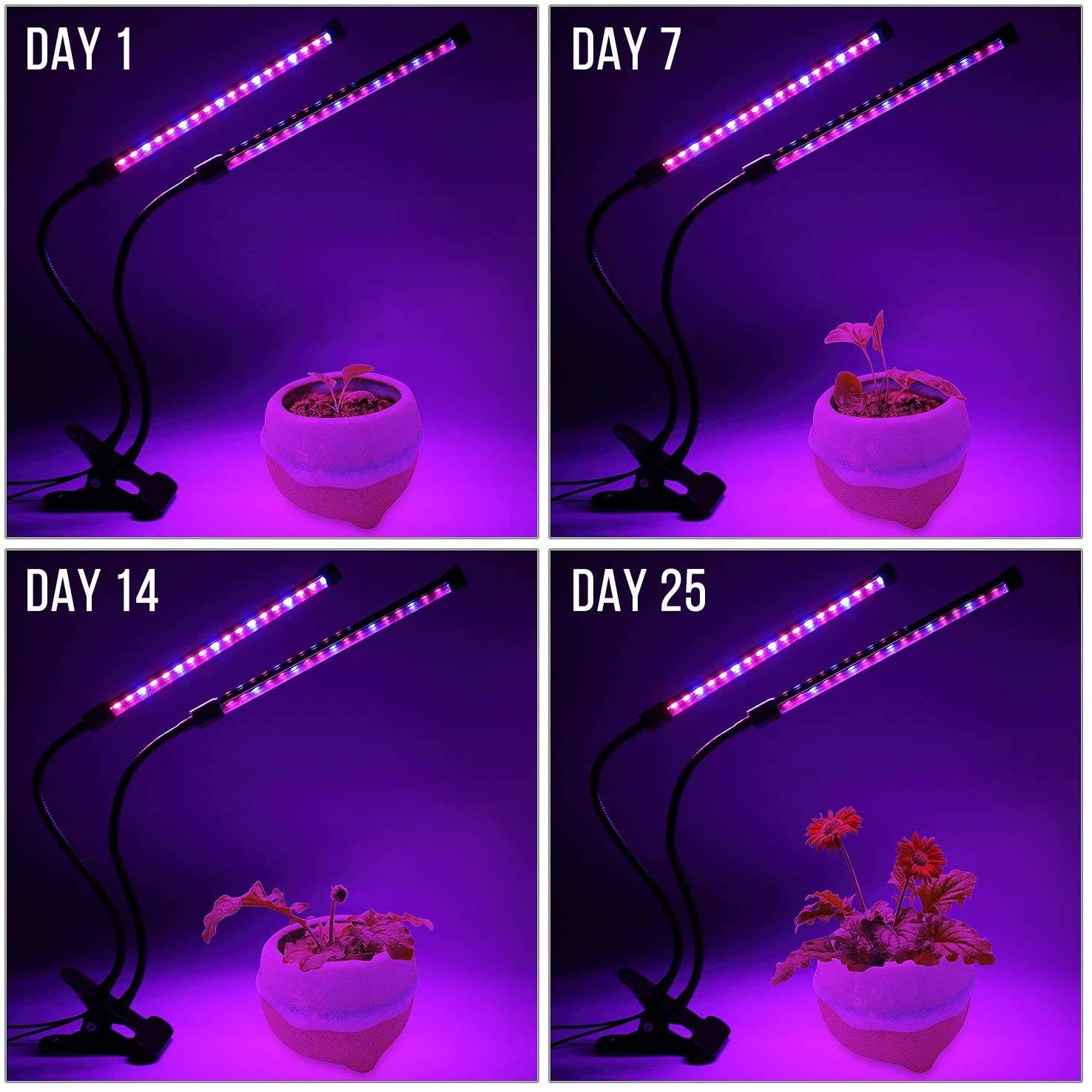 USB LED Plant Grow Light Indoo - Plant Growth Regulator recension och pris