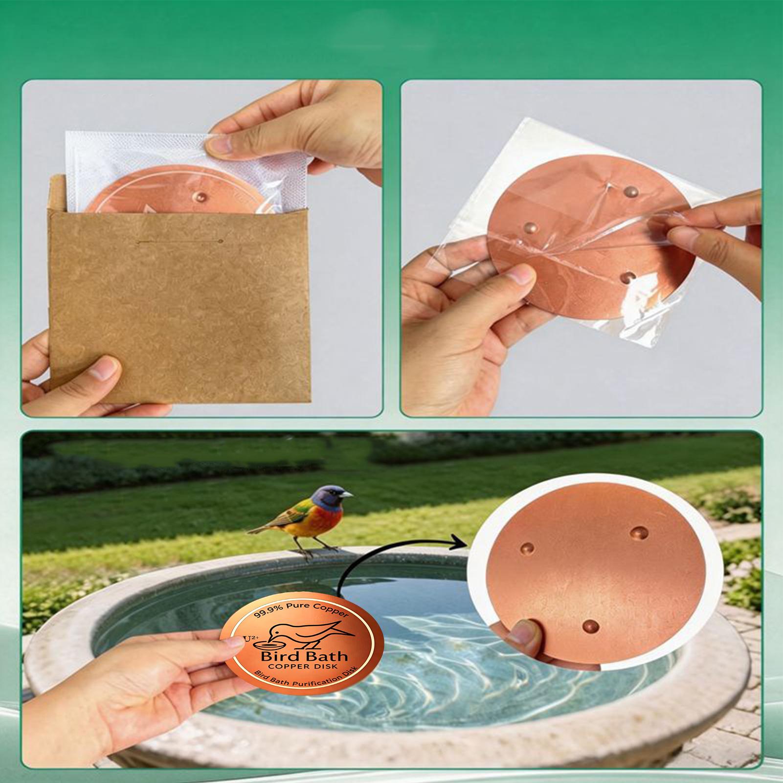Bird Bath Copper Disk 0.6mm Th - Farming A recension och pris