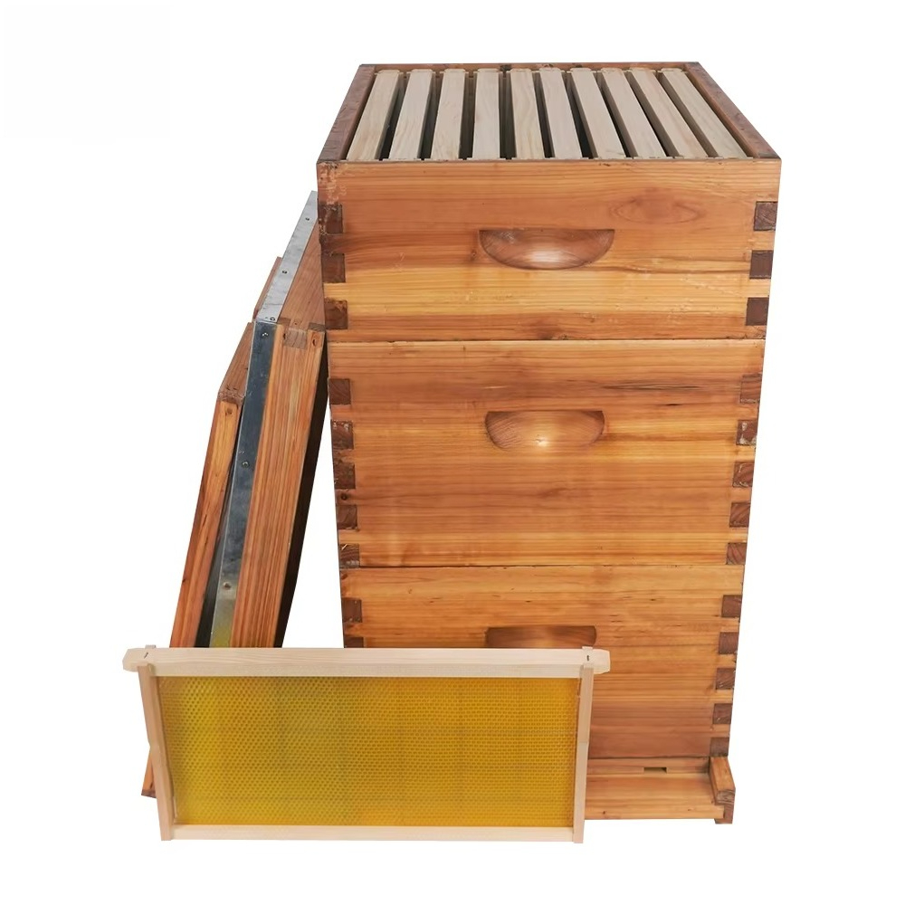Complete 3-layer wax-soaked be - Beehive Frame Wax recension och pris