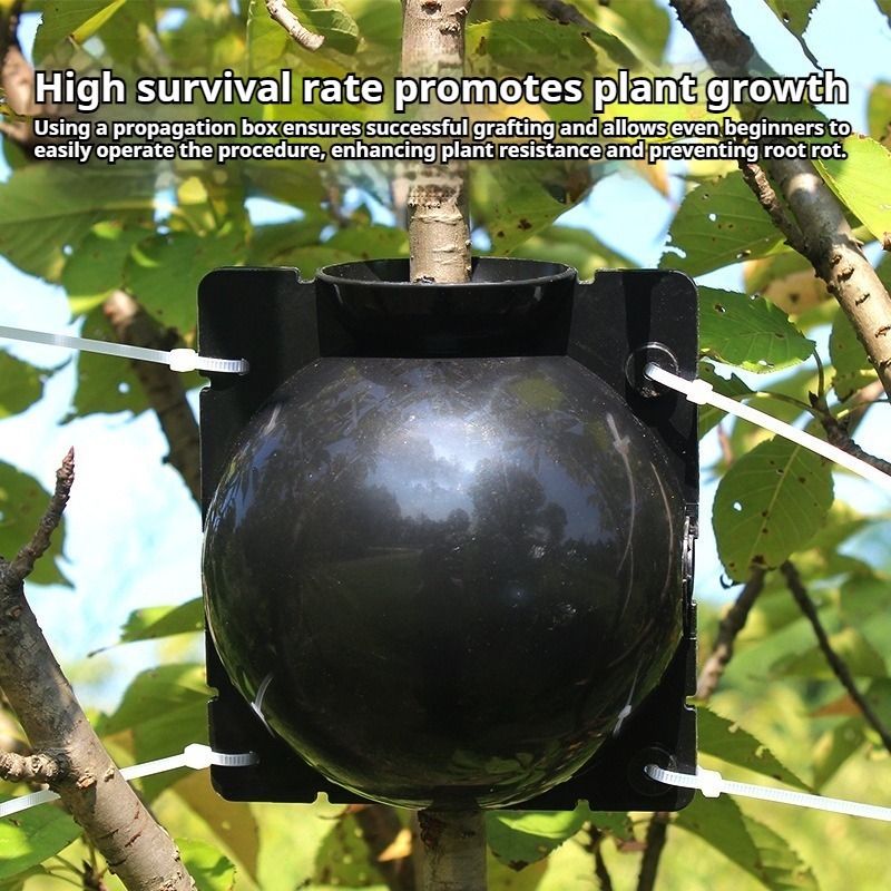 10pcs Plant Propagation Kit: H - Plant Growth Regulator recension och pris