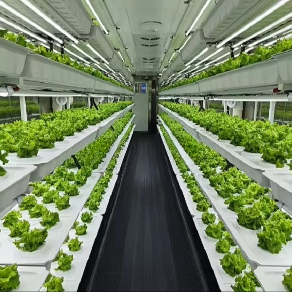 Smart Automatic Aeroponic/Aqua - Farming A recension och pris