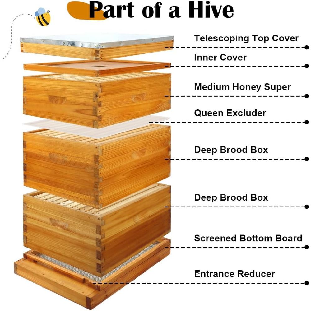 10-Frame Beehive Kit with Waxe - Beehive Frame Wax recension och pris