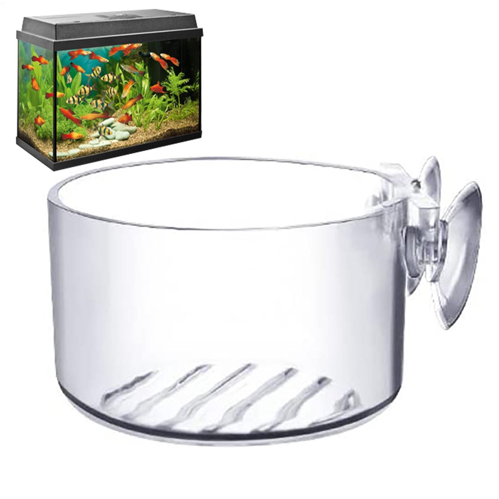 Aquatic Plant Pot Acrylic Aqua - Plant Growth Regulator recension och pris