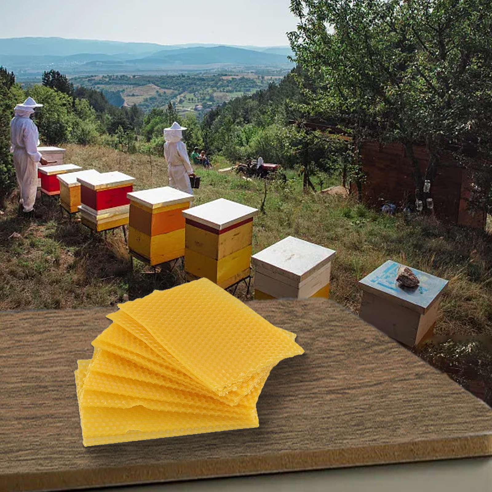 Bee Hive Wax Frames 9cm524x Eq - Beehive Frame Wax recension och pris