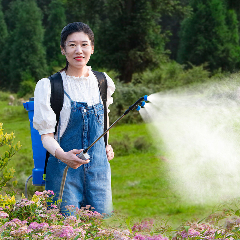 Disinfection Sprayer with Back - Crop Sprayer Backpack recension och pris