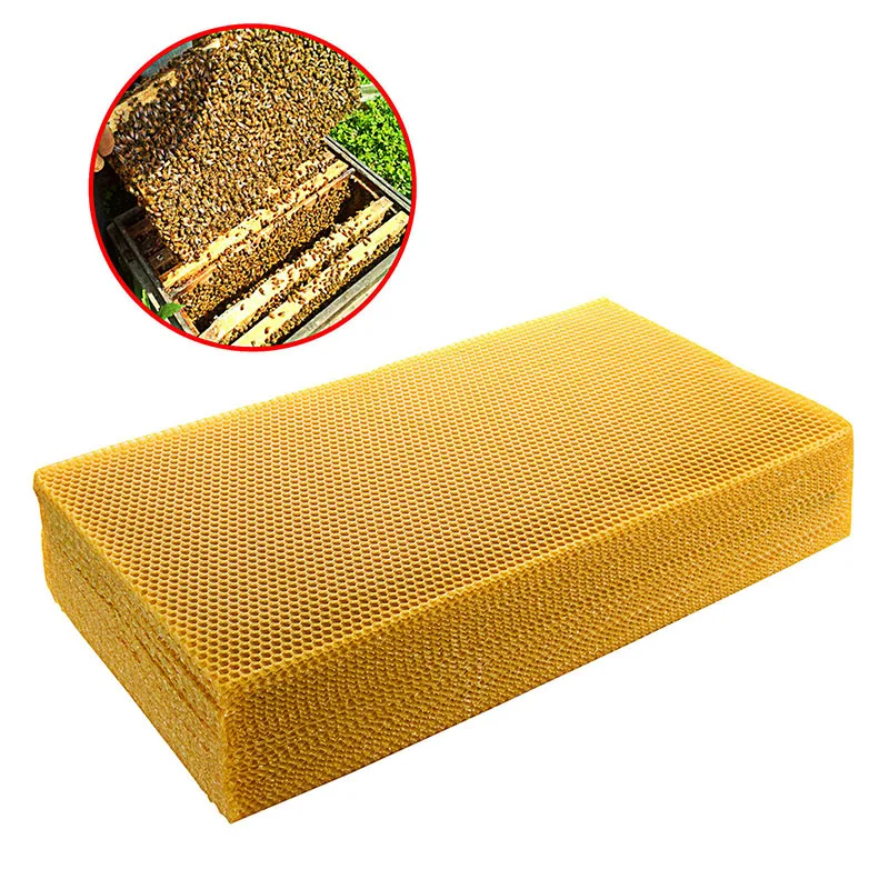 30pcs/pack Bee Comb Foundation - Beehive Frame Wax recension och pris